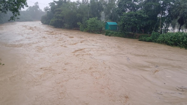 শেরপুরে ভয়াবহ বন্যায় মৃত্যু বেড়ে ৭